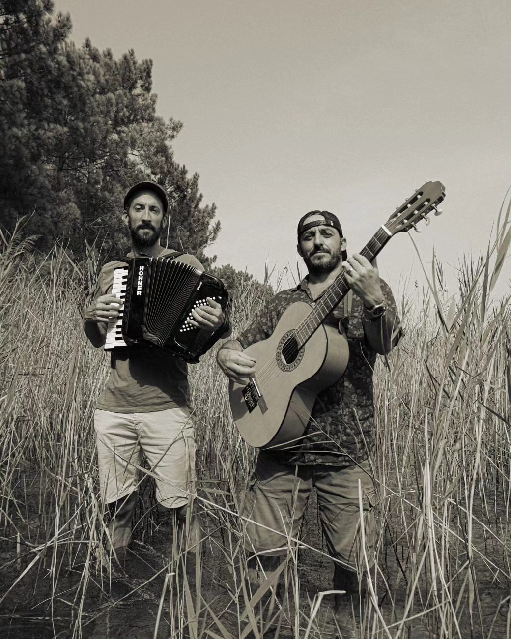 Le chant des cigales adischatz production lacanau